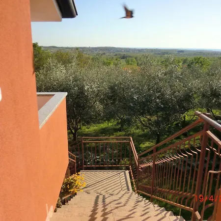 Apartment Apartment Zita In Relaxing Surroundings Near Umag